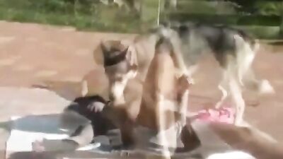 Paw-some Puppy Licks His Hot Girls Face