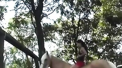 Sissy Teen Sucks Dogs Cock In Lewd Public Orgy