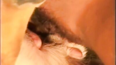 Gross But Glamorous: Deepthroat Dog Cock Exposed