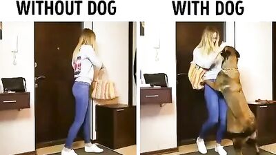 fhj