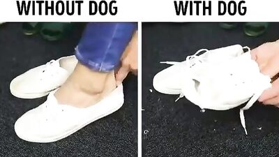 fhj