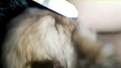 Teen feeds puppy
