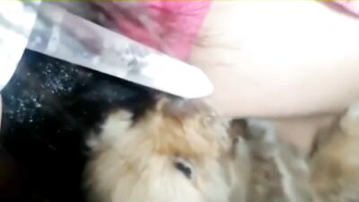Teen feeds puppy