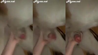 Blonde girl suck dog dick