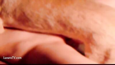 wa ow kises for all slave girls