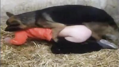 fuck the doggy