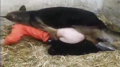 fuck the doggy
