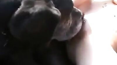 Sexy Skype Seduction in Scandalous Shoes - New Years Treat