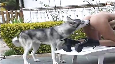 Pawsitively Perfect Doggy Blowbang