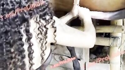 HORSE VIDS COMPILATION
