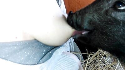 Pet Lovers Mutual Affection