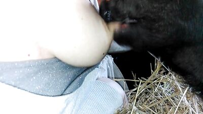Pet Lovers Mutual Affection