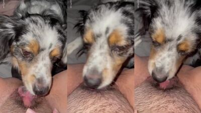 Teen MILF Licks Puppys Cock