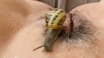 Snail on clit