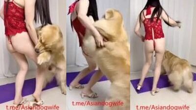 Chinese dog cant wait no more