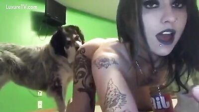 GothLick