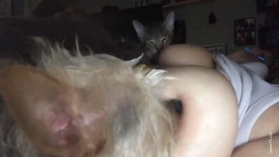 Breastfeeding Cat and Puppy