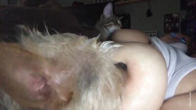 Breastfeeding Cat and Puppy