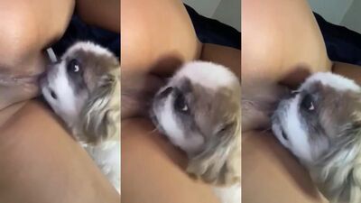 Licking from behind