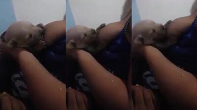 Sultry Nurse Teamed with Hung Dog in Lewd Living Room Sesh