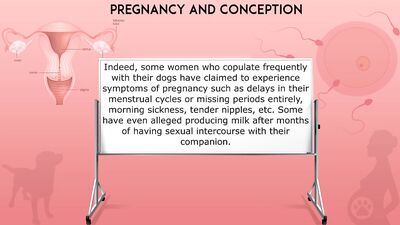 An Introduction to Sex with Dogs: A Guide for Women