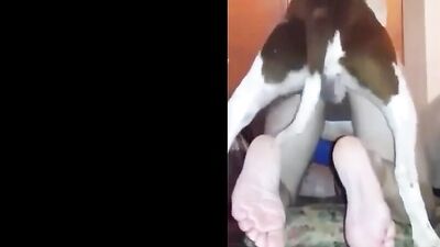Novinha brasileira compilation