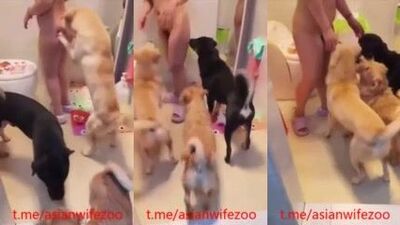 Chinese zoo porn 7