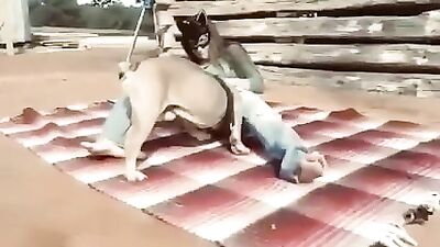 Young Girl With Mask Lets Dog Fuck Her