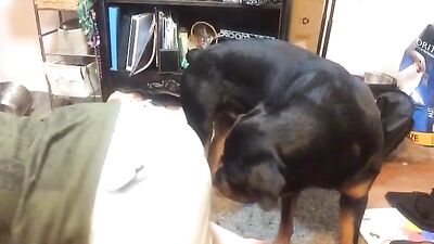 Blue Hair girl trains dog