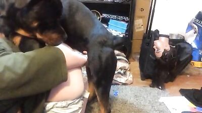 Blue Hair girl trains dog