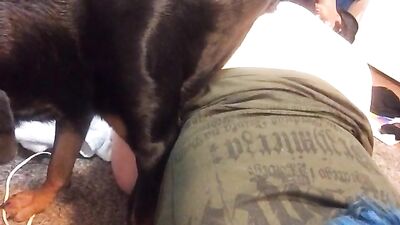 Blue Hair girl trains dog