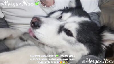 Bestiality comics: free dog first time porn