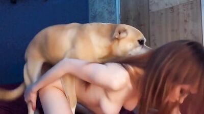 Dog porn: sex dog porno animation