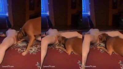 Dog's porn: aly zoo dog sex