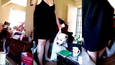 Dog teen girls: donkey zoo porn