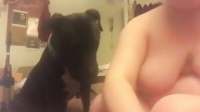Bestiality xxx: bestiality porn 18