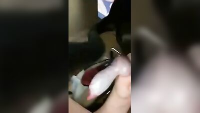 Bestiality xxx: bestiality porn 18