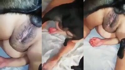 Dog sex: dog and animal sex movies