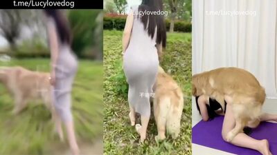 Animal porn: lesbians bestiality