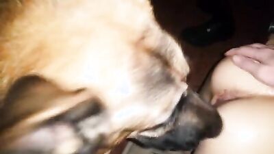 Dog girl anal: zoo seķis video