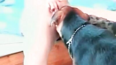 Zoo porn 2026: sex animals cartoons