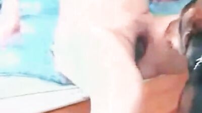 Zoo porn 2026: sex animals cartoons
