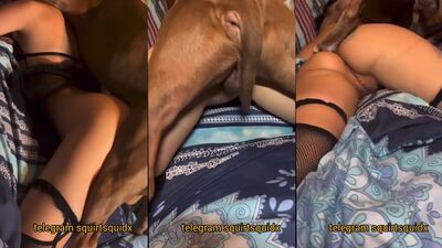 Russian zoo porn: wife fucking dog porn