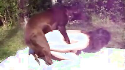 Dog sex girl: family animal sex story