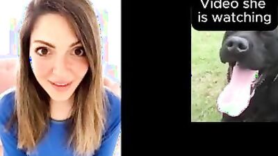 Animal porn: zoo sex ts