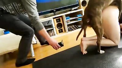 Bestiality manga: dog day sex