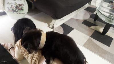 Animal sex porn: artofzoo girls dog