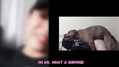 Zoo dog porn: rocco animal 25 porn