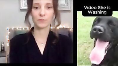 Zoophilia porn: real animal porn