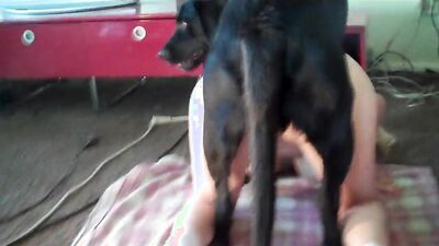 Teen dog sex: girl and dog sex 2026